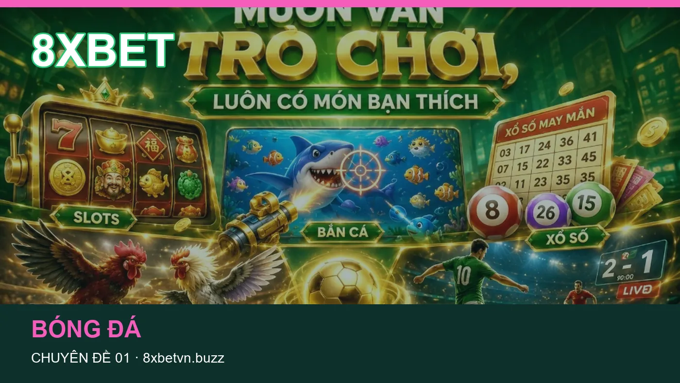Danh sách kiểm tra thông tin Casino dành cho người đọc 8XBET