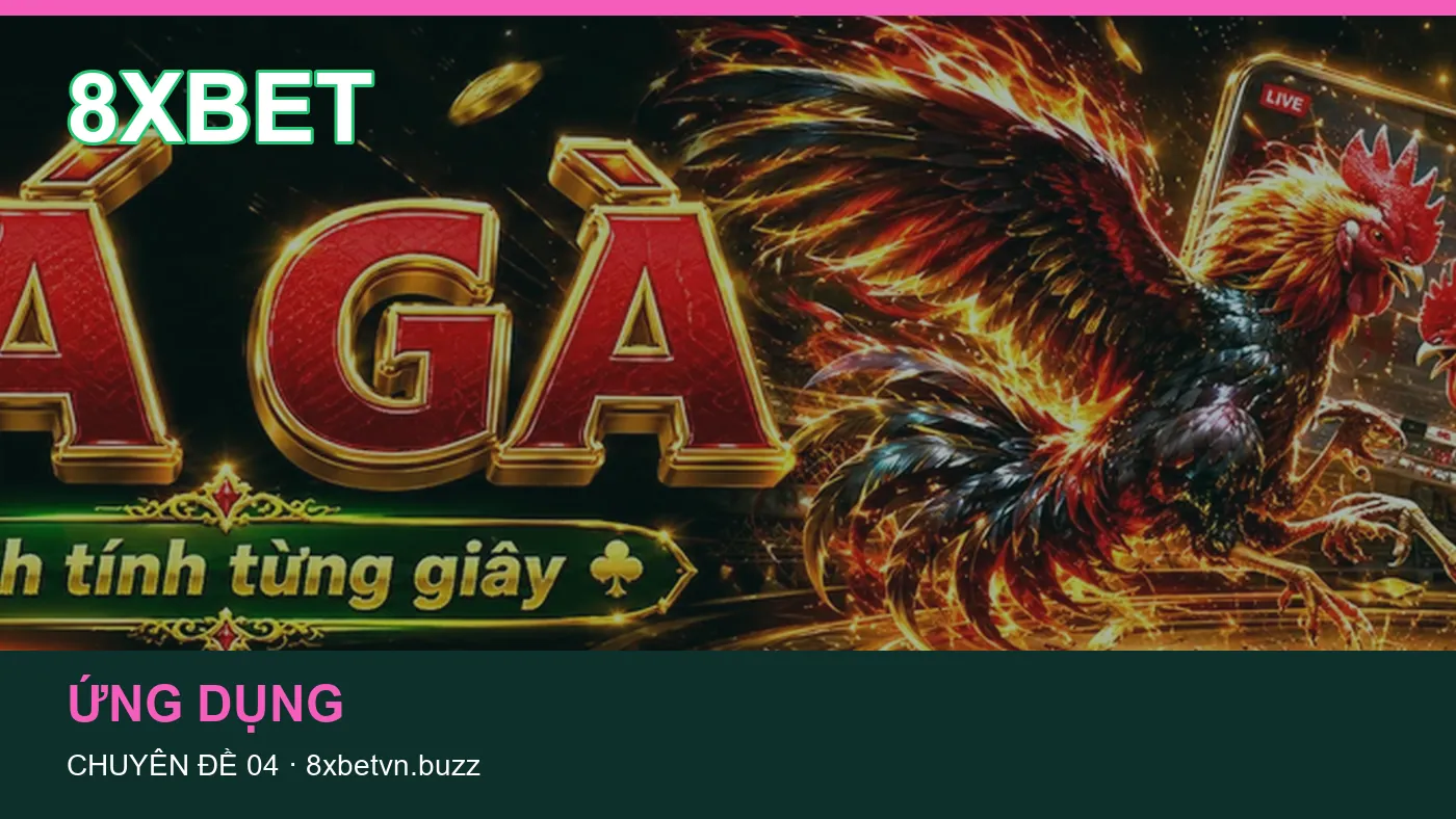 Hỏi đáp về Game bài: quy trình tự kiểm tra trên 8XBET