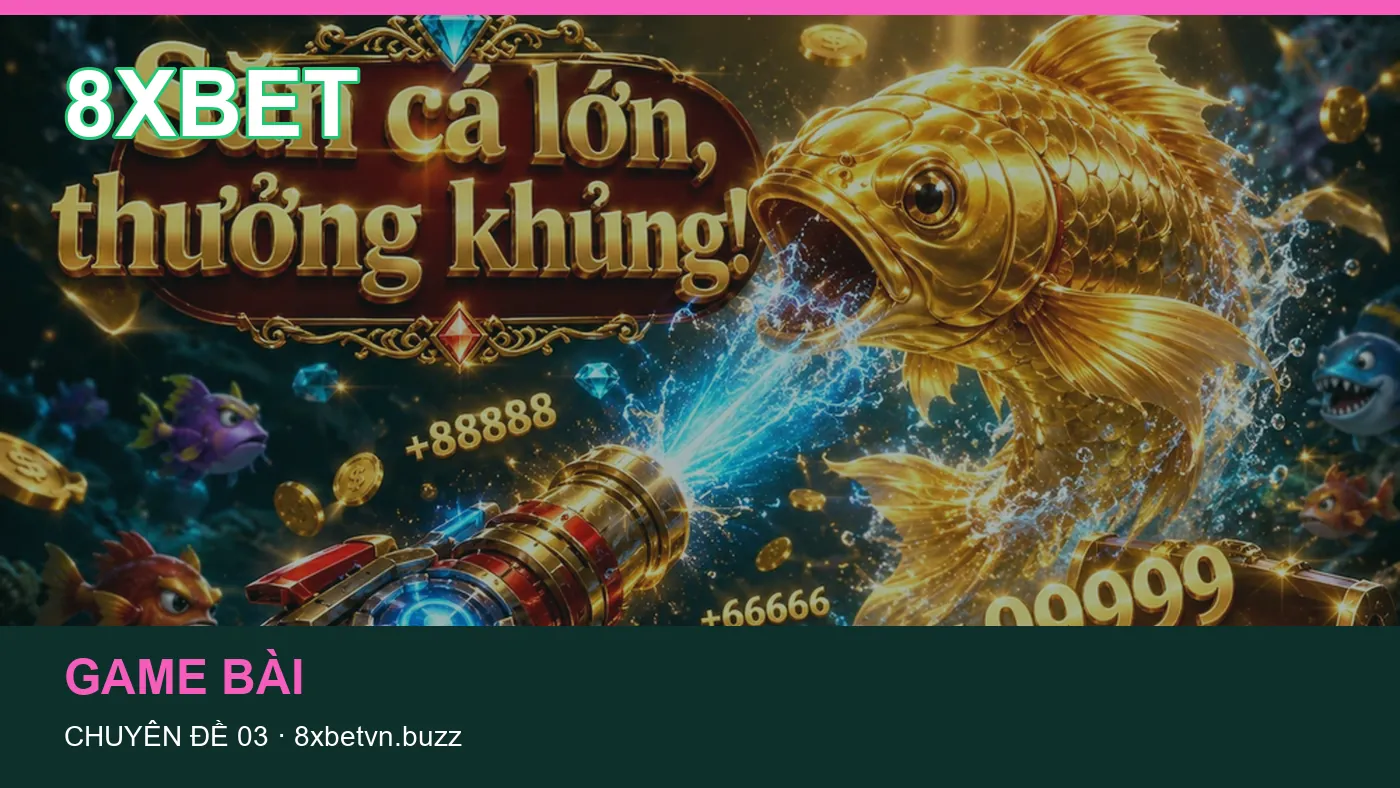 Hình minh họa bài viết 8XBET